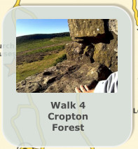 Walk 4 Cropton Forest