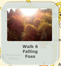Walk 6 Falling  Foss