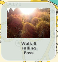 Walk 6 Falling  Foss
