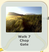 Walk 7 Chop Gate