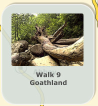 Walk 9 Goathland