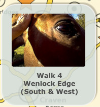 Walk 4 Wenlock Edge (South & West)