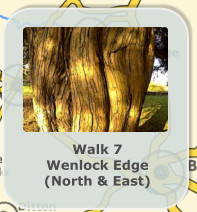 Walk 7 Wenlock Edge (North & East)