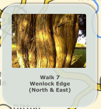 Walk 7 Wenlock Edge  (North & East)
