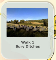 Walk 1 Bury Ditches