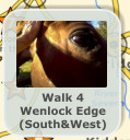 Walk 4 Wenlock Edge (South&West)