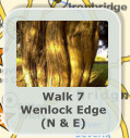 Walk 7 Wenlock Edge (N & E)