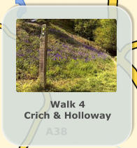 Walk 4 Crich & Holloway