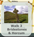 Walk 3  Bridestones & Horcum