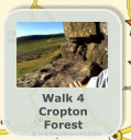 Walk 4 Cropton Forest