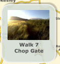 Walk 7 Chop Gate