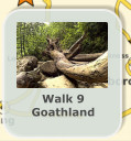 Walk 9 Goathland